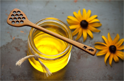 donations for HoneyStick